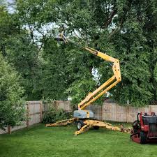 Best Arborist Consultation Services  in Lake Hopatcong, NJ