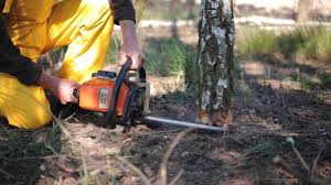 Best Stump Grinding and Removal  in Lake Hopatcong, NJ
