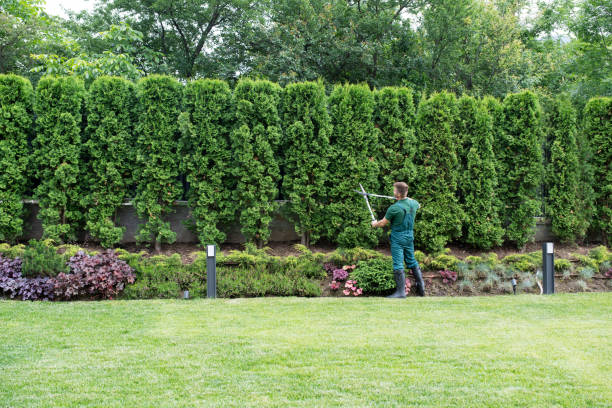 Best Tree Preservation Services  in Lake Hopatcong, NJ