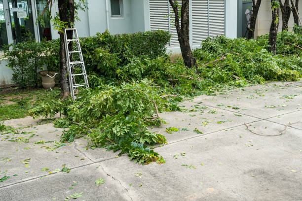 Best Commercial Tree Services  in Lake Hopatcong, NJ
